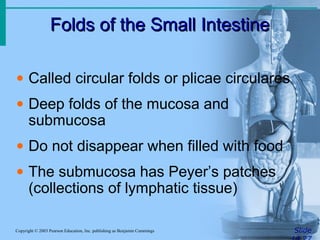 Folds of the Small Intestine
Folds of the Small Intestine
Slide
Copyright © 2003 Pearson Education, Inc. publishing as Benjamin Cummings
• Called circular folds or plicae circulares
• Deep folds of the mucosa and
submucosa
• Do not disappear when filled with food
• The submucosa has Peyer’s patches
(collections of lymphatic tissue)
 