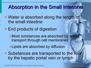 Absorption in the Small Intestine
Absorption in the Small Intestine
Slide
Copyright © 2003 Pearson Education, Inc. publishing as Benjamin Cummings
• Water is absorbed along the length of
the small intestine
• End products of digestion
•Most substances are absorbed by active
transport through cell membranes
•Lipids are absorbed by diffusion
• Substances are transported to the liver
by the hepatic portal vein or lymph
 