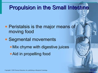 Propulsion in the Small Intestine
Propulsion in the Small Intestine
Slide
Copyright © 2003 Pearson Education, Inc. publishing as Benjamin Cummings
• Peristalsis is the major means of
moving food
• Segmental movements
•Mix chyme with digestive juices
•Aid in propelling food
 