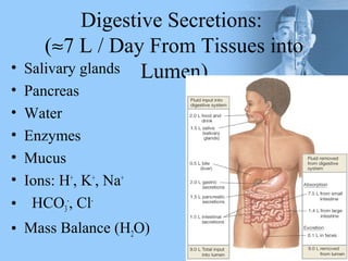 Digestive Secretions:
(≈7 L / Day From Tissues into
Lumen)
• Salivary glands
• Pancreas
• Water
• Enzymes
• Mucus
• Ions: H+
, K+
, Na+
• HCO3
-
, Cl-
• Mass Balance (H2O)
 