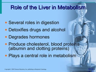 Role of the Liver in Metabolism
Role of the Liver in Metabolism
Slide
Copyright © 2003 Pearson Education, Inc. publishing as Benjamin Cummings
• Several roles in digestion
• Detoxifies drugs and alcohol
• Degrades hormones
• Produce cholesterol, blood proteins
(albumin and clotting proteins)
• Plays a central role in metabolism
 