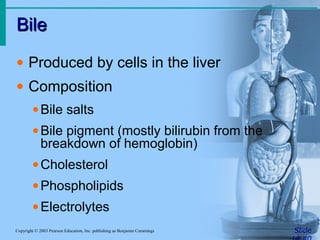 Bile
Bile
Slide
Copyright © 2003 Pearson Education, Inc. publishing as Benjamin Cummings
• Produced by cells in the liver
• Composition
•Bile salts
•Bile pigment (mostly bilirubin from the
breakdown of hemoglobin)
•Cholesterol
•Phospholipids
•Electrolytes
 