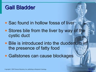 Gall Bladder
Gall Bladder
Slide
Copyright © 2003 Pearson Education, Inc. publishing as Benjamin Cummings
• Sac found in hollow fossa of liver
• Stores bile from the liver by way of the
cystic duct
• Bile is introduced into the duodenum in
the presence of fatty food
• Gallstones can cause blockages
 