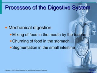 Processes of the Digestive System
Processes of the Digestive System
Slide
Copyright © 2003 Pearson Education, Inc. publishing as Benjamin Cummings
• Mechanical digestion
•Mixing of food in the mouth by the tongue
•Churning of food in the stomach
•Segmentation in the small intestine
 
