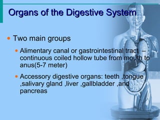 Organs of the Digestive System
Organs of the Digestive System
• Two main groups
• Alimentary canal or gastrointestinal tract –
continuous coiled hollow tube from mouth to
anus(5-7 meter)
• Accessory digestive organs: teeth ,tongue
,salivary gland ,liver ,gallbladder ,and
pancreas
 