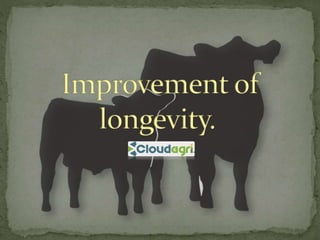 Dutch Holstein Friesian cows Benefits | PPTX