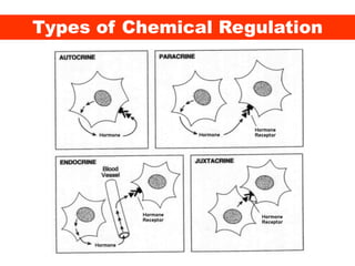 Types of Chemical Regulation
 
