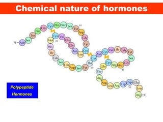 Chemical nature of hormones
Polypeptide
Hormones
 