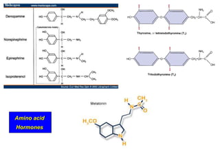 Amino acid
Hormones
 