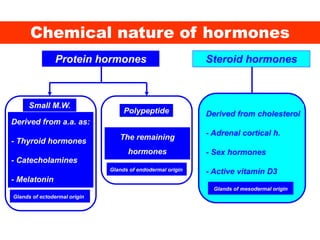 Chemical nature of hormones
Protein hormones Steroid hormones
Small M.W.
Derived from a.a. as:
- Thyroid hormones
- Catecholamines
- Melatonin
Derived from cholesterol
- Adrenal cortical h.
- Sex hormones
- Active vitamin D3
Polypeptide
The remaining
hormones
Glands of ectodermal origin
Glands of endodermal origin
Glands of mesodermal origin
 