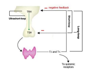 Short-loop
Long-loop
Ultrashort-loop
 