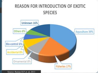 Introduction of exotic species in india