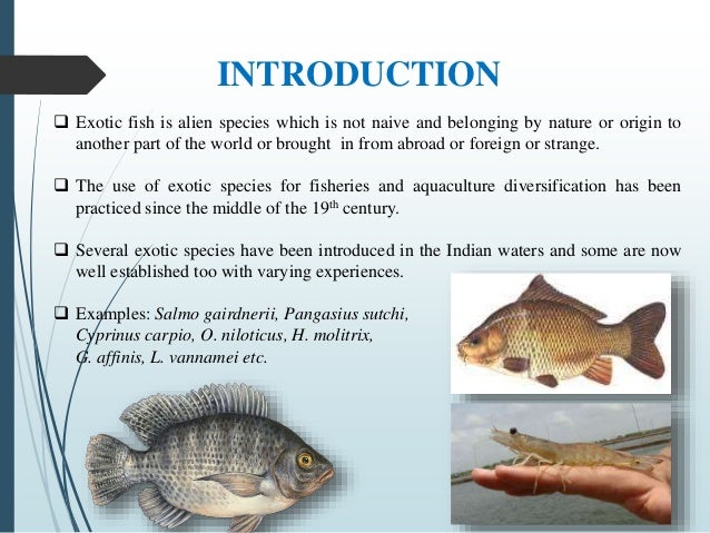 Introduction Of A Foreign Species