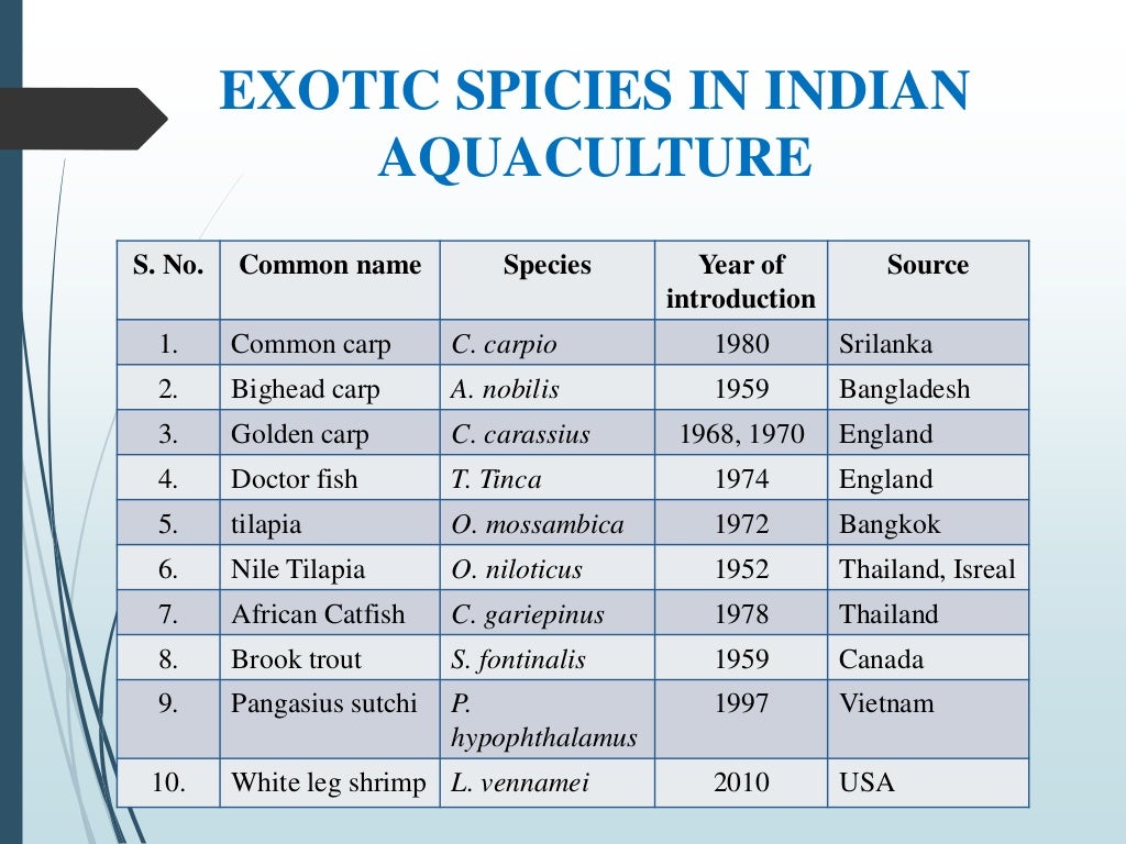 Introduction of exotic species in india