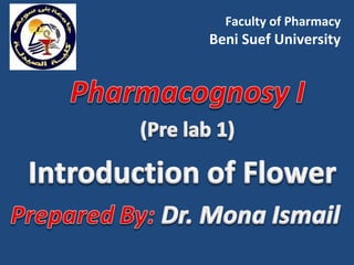 Faculty of Pharmacy
Beni Suef University
 