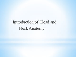 Introduction of Head and
Neck Anatomy
 