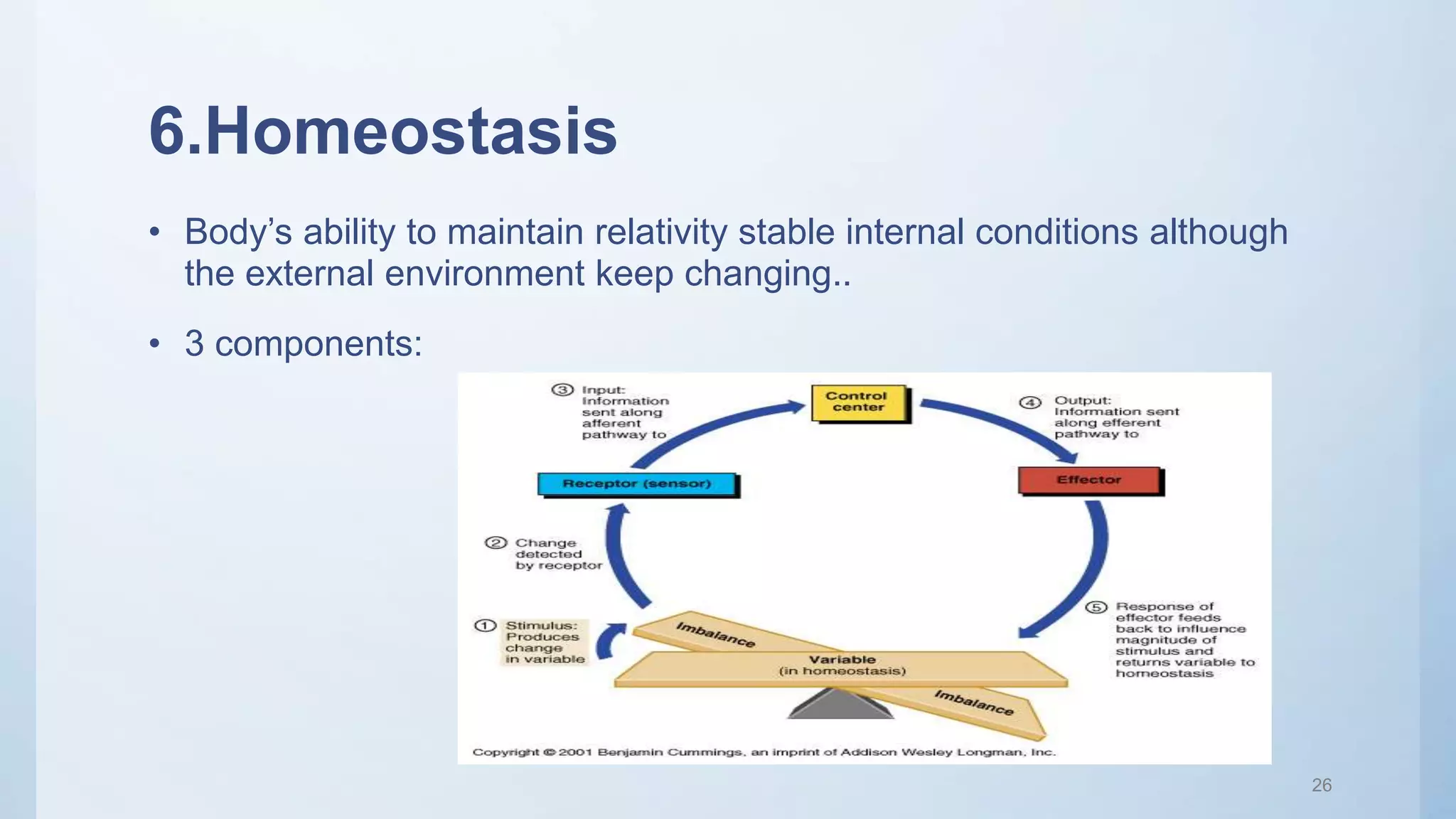 6.Homeostasis
• Body’s ability to maintain relativity stable internal conditions although
the external environment keep changing..
• 3 components:
26
 