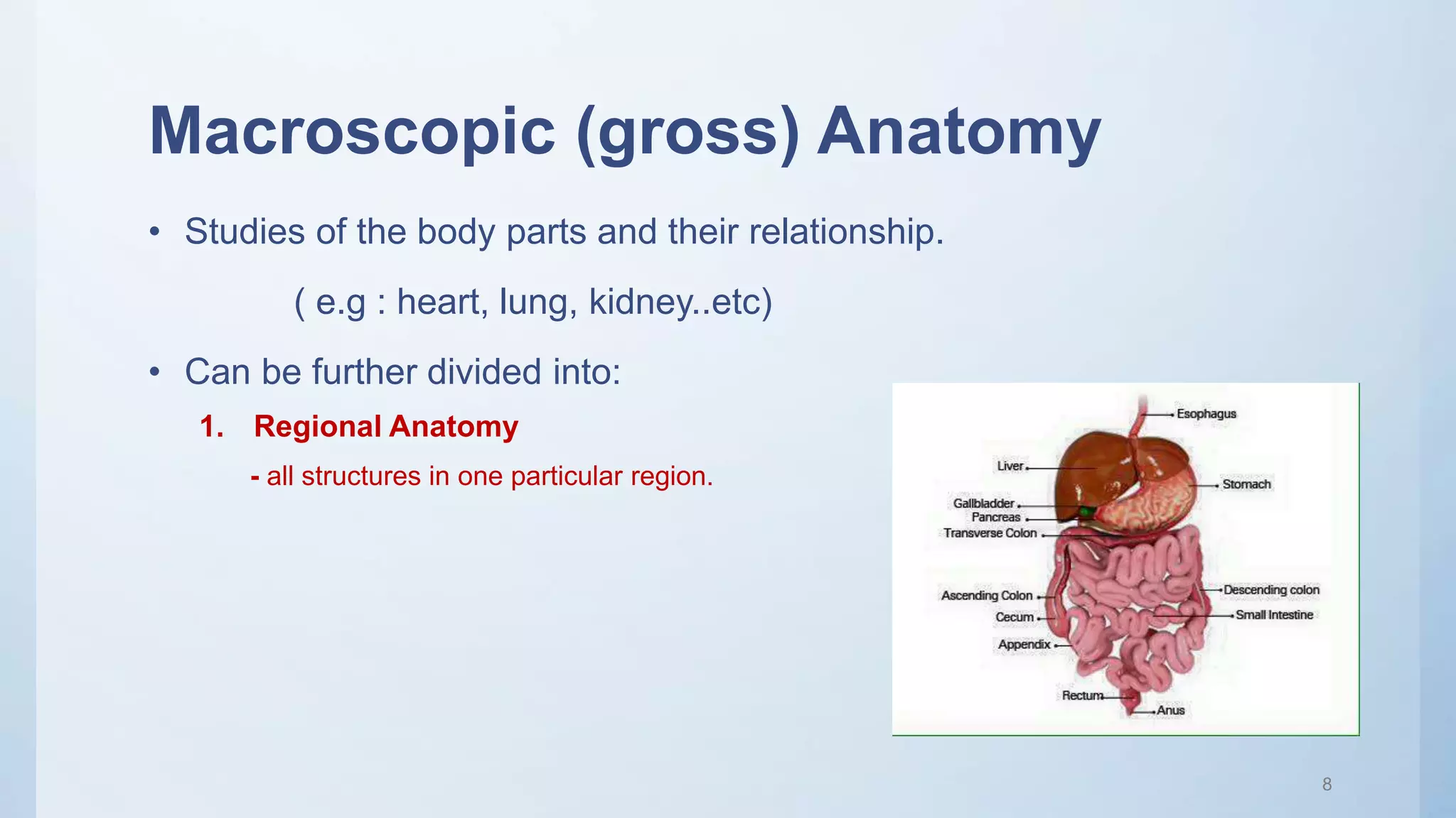 Macroscopic (gross) Anatomy
• Studies of the body parts and their relationship.
( e.g : heart, lung, kidney..etc)
• Can be further divided into:
1. Regional Anatomy
- all structures in one particular region.
8
 