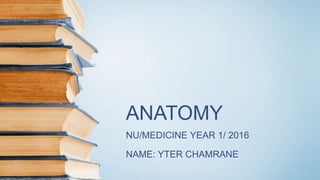 ANATOMY
NU/MEDICINE YEAR 1/ 2016
NAME: YTER CHAMRANE
 