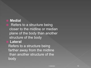 Introduction of human anatomy | PPTX