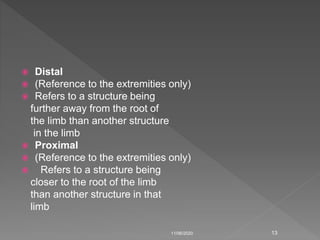 Introduction of human anatomy | PPTX