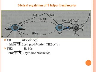 Th1 Function Introduction of immunity and immunosuppressed drugs | PPT