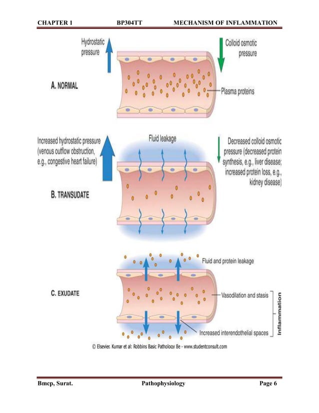 Introduction of inflammation