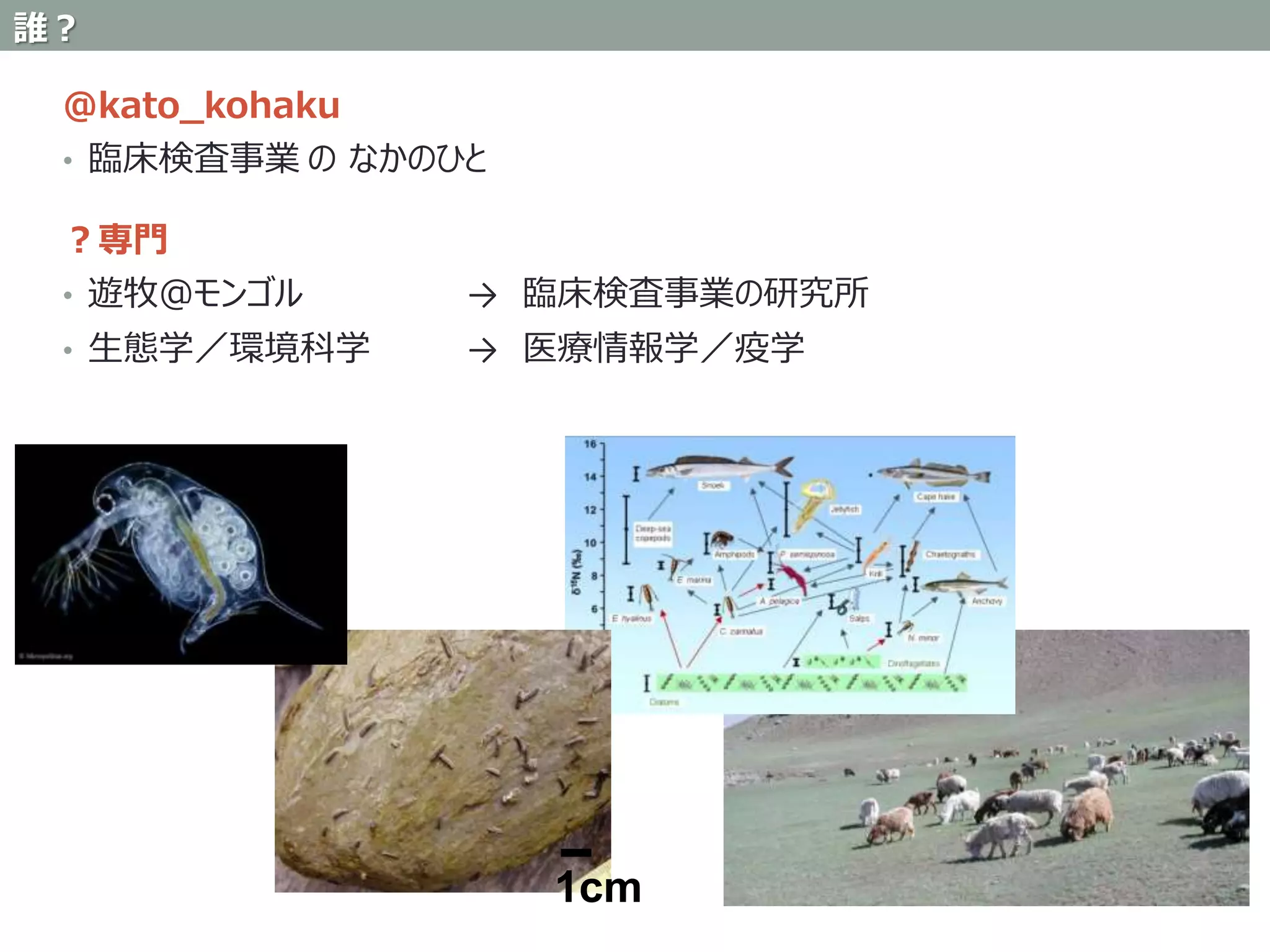 @kato_kohaku
• 臨床検査事業 の なかのひと
？専門
• 遊牧＠モンゴル → 臨床検査事業の研究所
• 生態学／環境科学 → 医療情報学／疫学
1cm
誰？
 