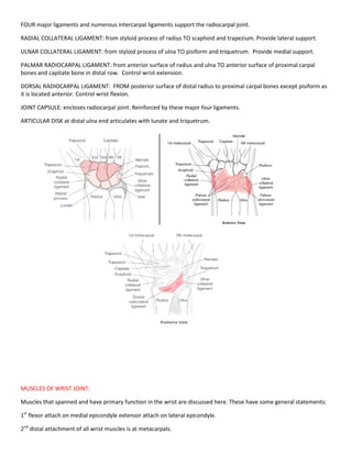 Pip Rcl Introduction of kinesiology and upper limb anatomy | PDF