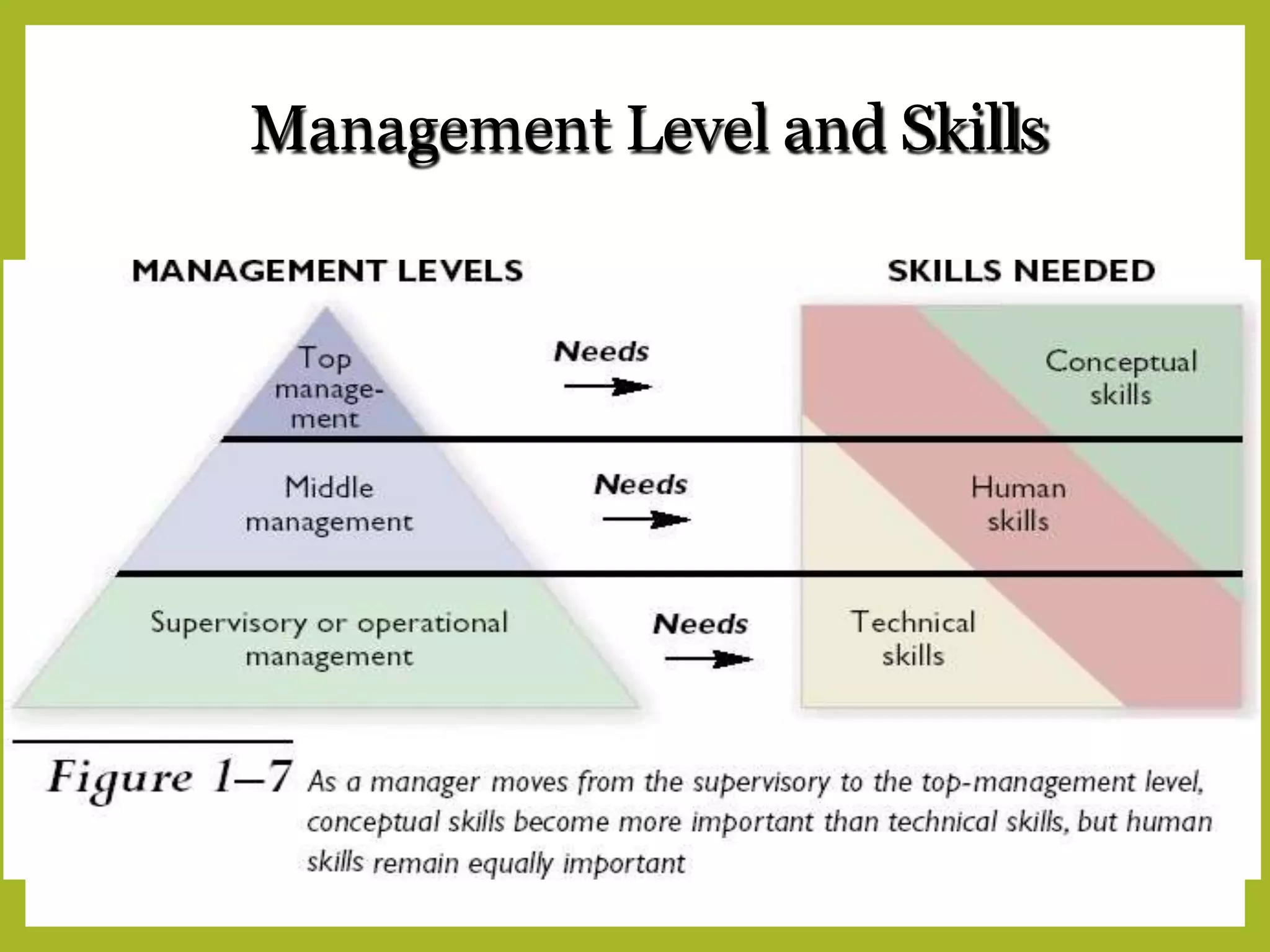 Management Level and Skills
 