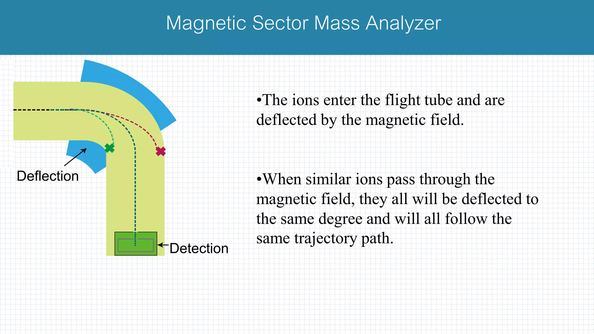 Magnetic Sector Mass Analyzer
•The ions enter the flight tube and are
deflected by the magnetic field.
•When similar ions pass through the
magnetic field, they all will be deflected to
the same degree and will all follow the
same trajectory path.
Deflection
Detection
 