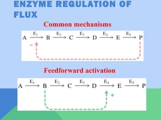 Introduction of metabolism | PPT