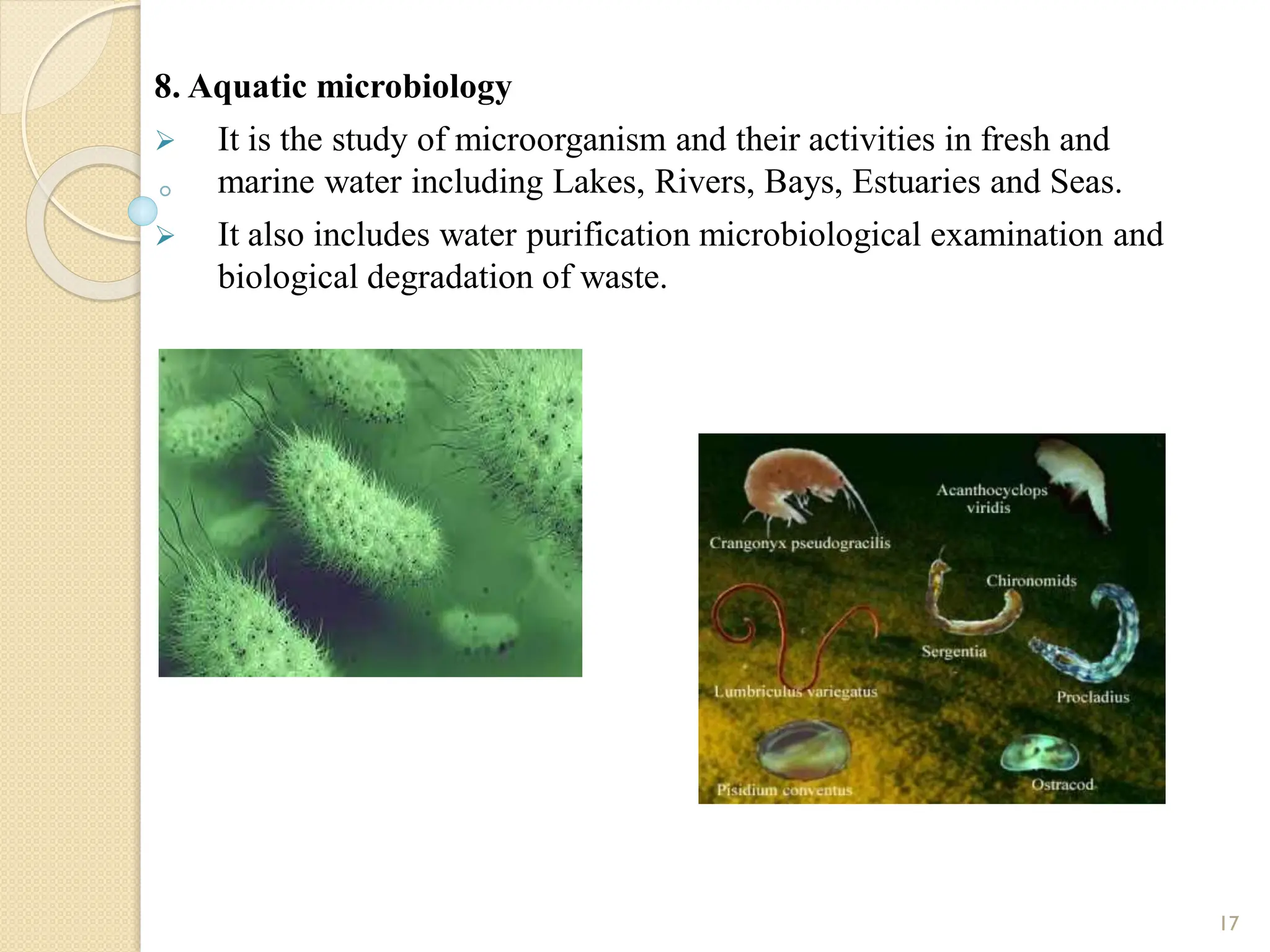 8. Aquatic microbiology
 It is the study of microorganism and their activities in fresh and
marine water including Lakes, Rivers, Bays, Estuaries and Seas.
 It also includes water purification microbiological examination and
biological degradation of waste.
17
 