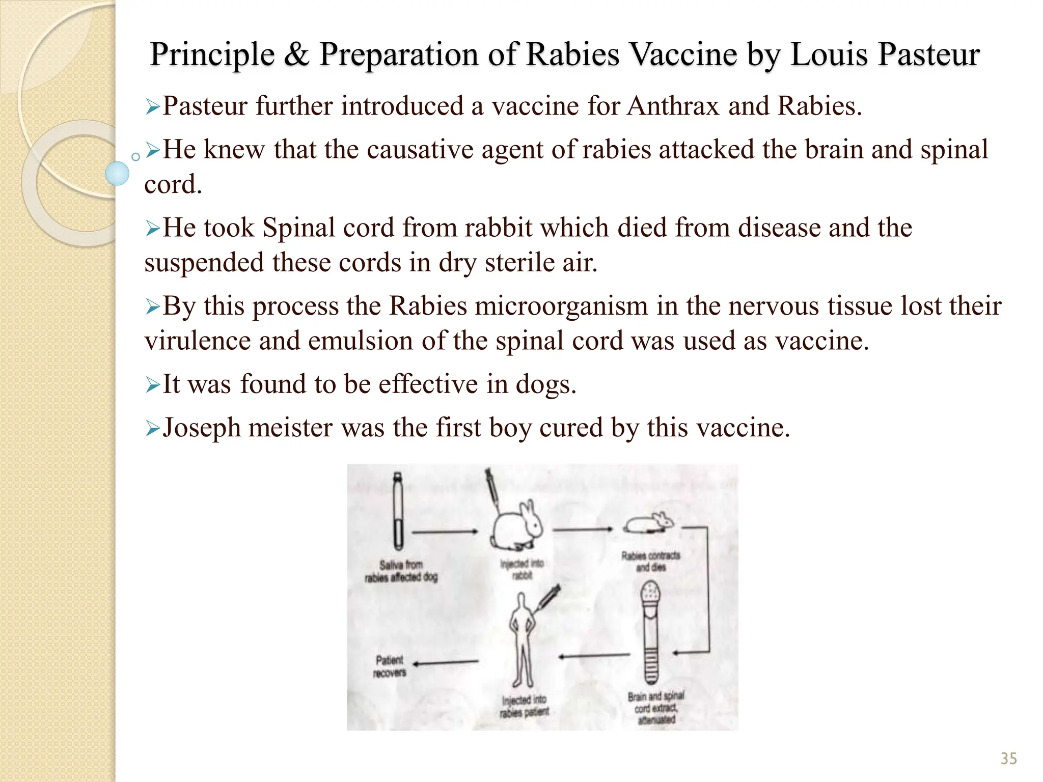 Principle & Preparation of Rabies Vaccine by Louis Pasteur
Pasteur further introduced a vaccine for Anthrax and Rabies.
He knew that the causative agent of rabies attacked the brain and spinal
cord.
He took Spinal cord from rabbit which died from disease and the
suspended these cords in dry sterile air.
By this process the Rabies microorganism in the nervous tissue lost their
virulence and emulsion of the spinal cord was used as vaccine.
It was found to be effective in dogs.
Joseph meister was the first boy cured by this vaccine.
35
 