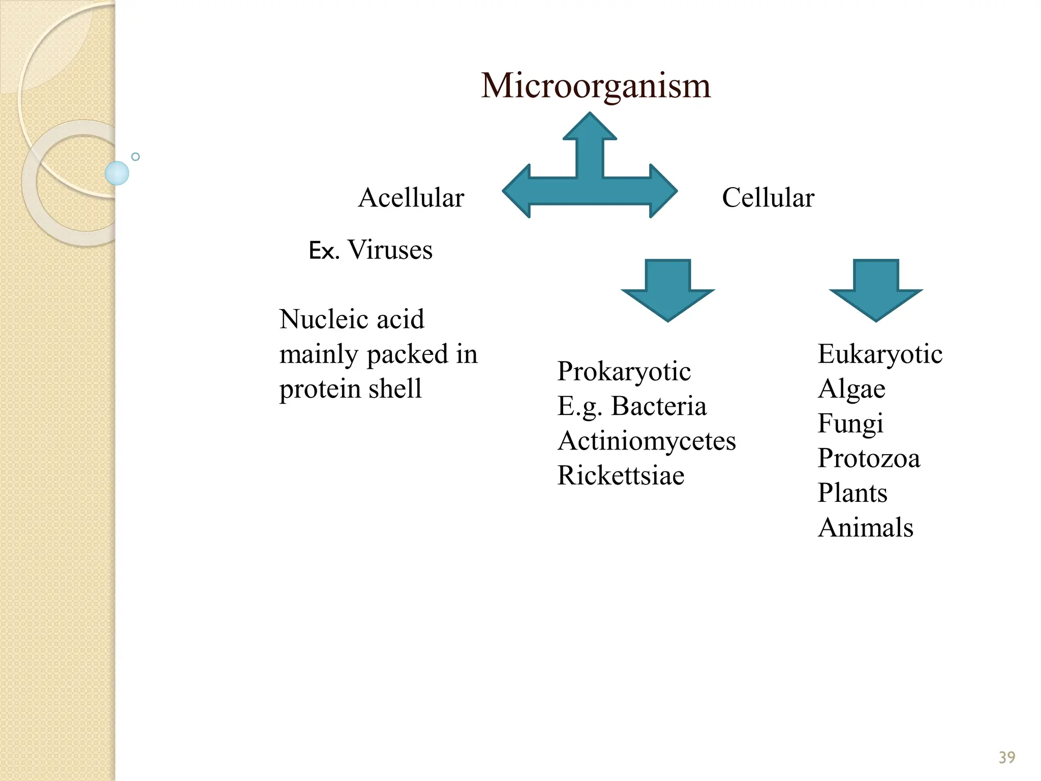 Microorganism
39
Cellular
Acellular
Ex. Viruses
Nucleic acid
mainly packed in
protein shell
Prokaryotic
E.g. Bacteria
Actiniomycetes
Rickettsiae
Eukaryotic
Algae
Fungi
Protozoa
Plants
Animals
 