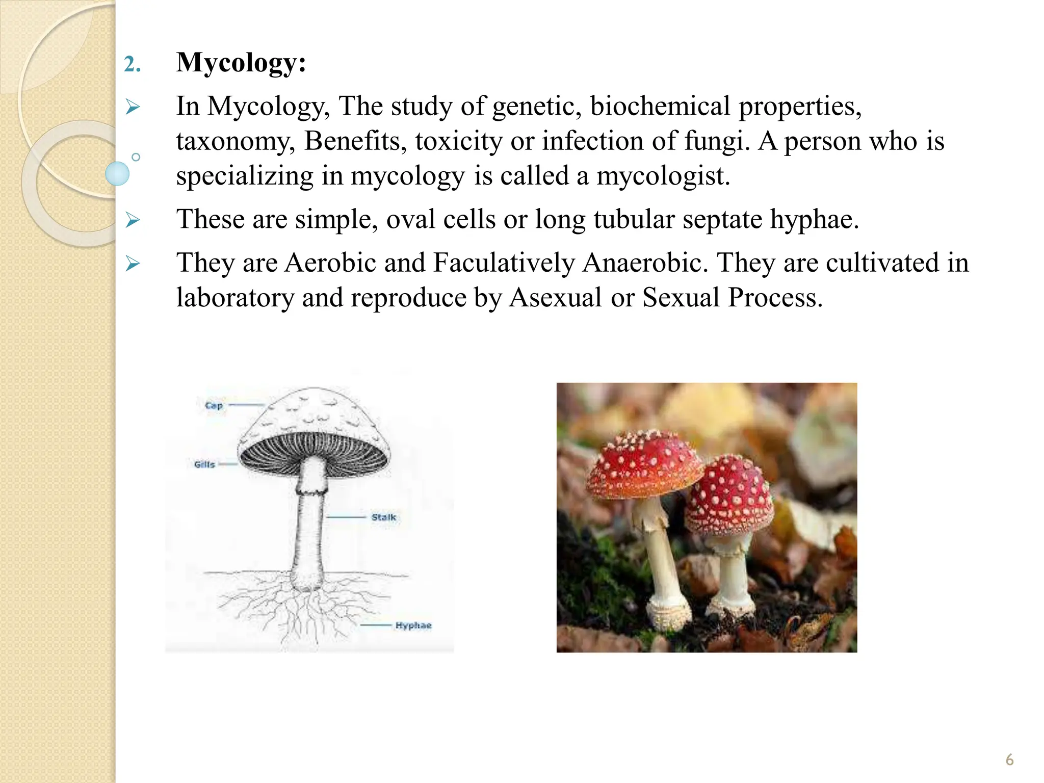2. Mycology:
 In Mycology, The study of genetic, biochemical properties,
taxonomy, Benefits, toxicity or infection of fungi. A person who is
specializing in mycology is called a mycologist.
 These are simple, oval cells or long tubular septate hyphae.
 They are Aerobic and Faculatively Anaerobic. They are cultivated in
laboratory and reproduce by Asexual or Sexual Process.
6
 