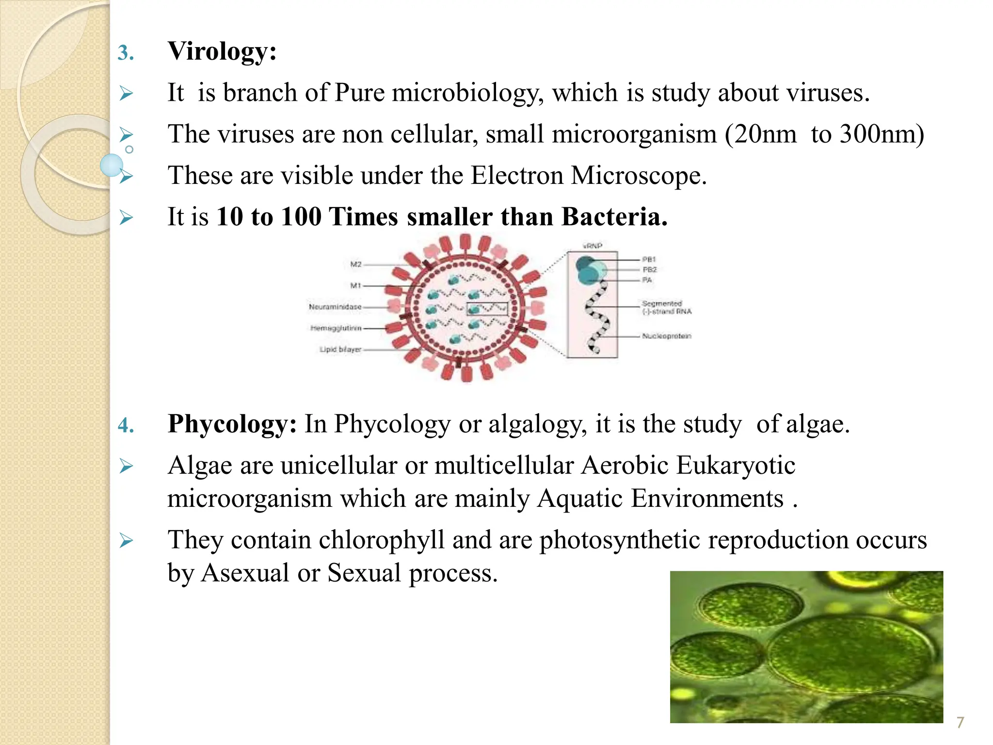 3. Virology:
 It is branch of Pure microbiology, which is study about viruses.
 The viruses are non cellular, small microorganism (20nm to 300nm)
 These are visible under the Electron Microscope.
 It is 10 to 100 Times smaller than Bacteria.
4. Phycology: In Phycology or algalogy, it is the study of algae.
 Algae are unicellular or multicellular Aerobic Eukaryotic
microorganism which are mainly Aquatic Environments .
 They contain chlorophyll and are photosynthetic reproduction occurs
by Asexual or Sexual process.
7
 