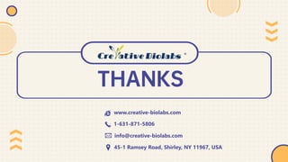 THANKS
1-631-871-5806
45-1 Ramsey Road, Shirley, NY 11967, USA
info@creative-biolabs.com
www.creative-biolabs.com
 
