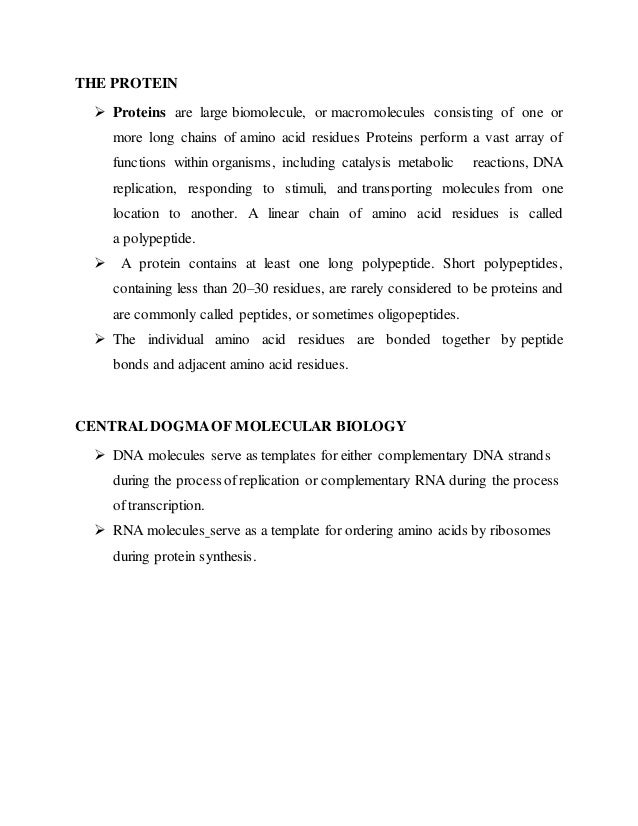 introduction of molecular biology docs introduction of molecular biology docs, Presentation templates