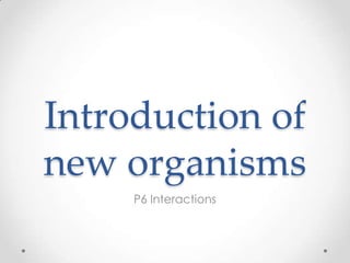 Introduction of
new organisms
     P6 Interactions
 