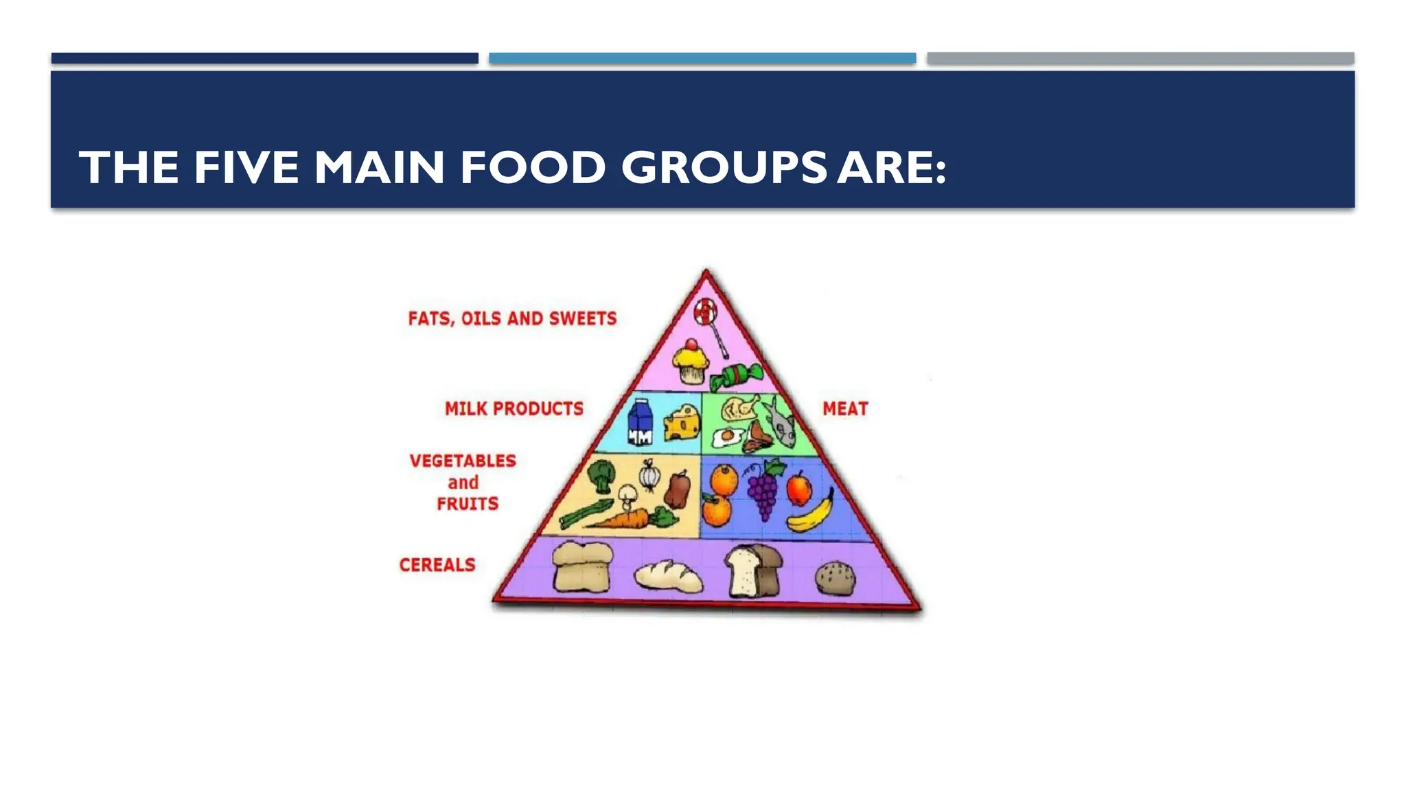 THE FIVE MAIN FOOD GROUPS ARE:
 