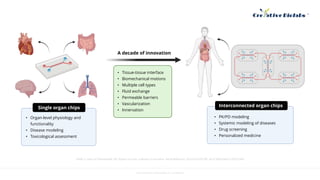 Introduction of Organ-On-A-Chip - Creative Biolabs | PPTX