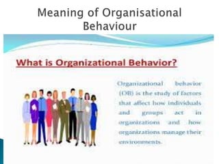 Introduction of organizational behavior