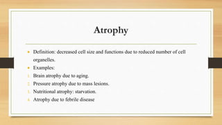 introductionofpathology-1903613134414.pdf