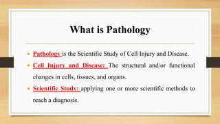 Pathology Introduction Introduction of pathology | PPTX