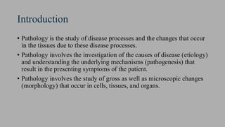 Pathology Introduction introduction of Pathology in nursing.pdf