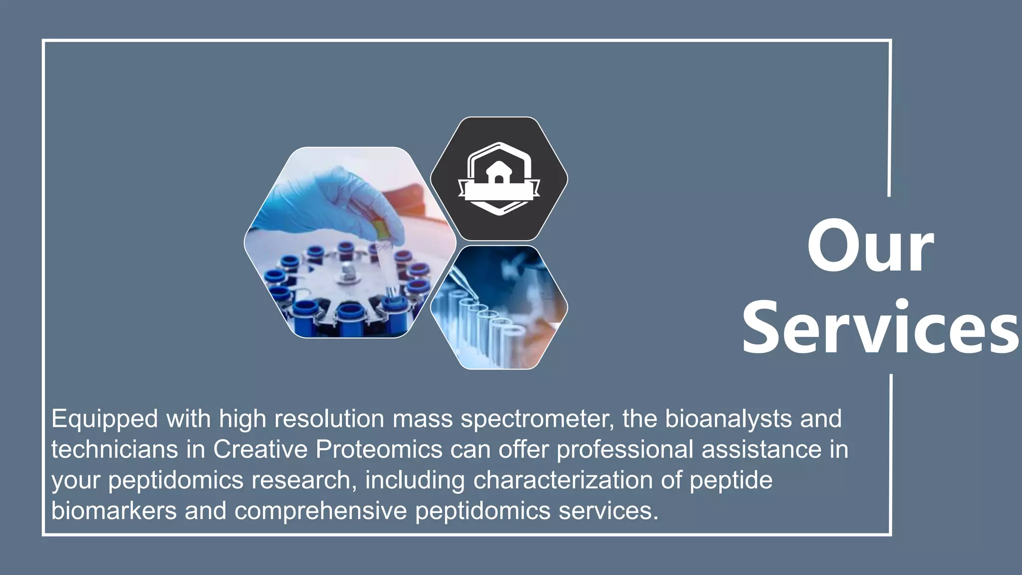 Our
Services
Equipped with high resolution mass spectrometer, the bioanalysts and
technicians in Creative Proteomics can offer professional assistance in
your peptidomics research, including characterization of peptide
biomarkers and comprehensive peptidomics services.
 