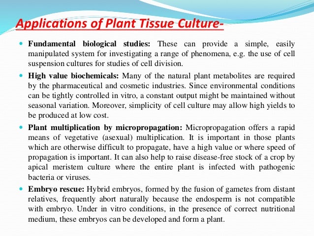 Phd Thesis On Plant Tissue Culture