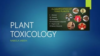 PLANT
TOXICOLOGY
NABEELA JABEEN
 