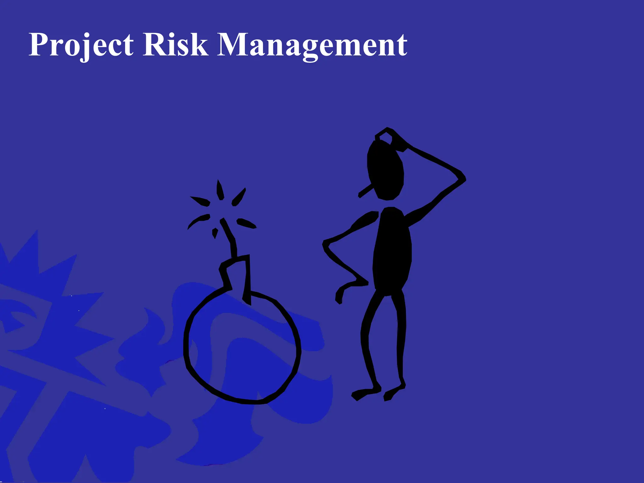 Project Risk Management
 